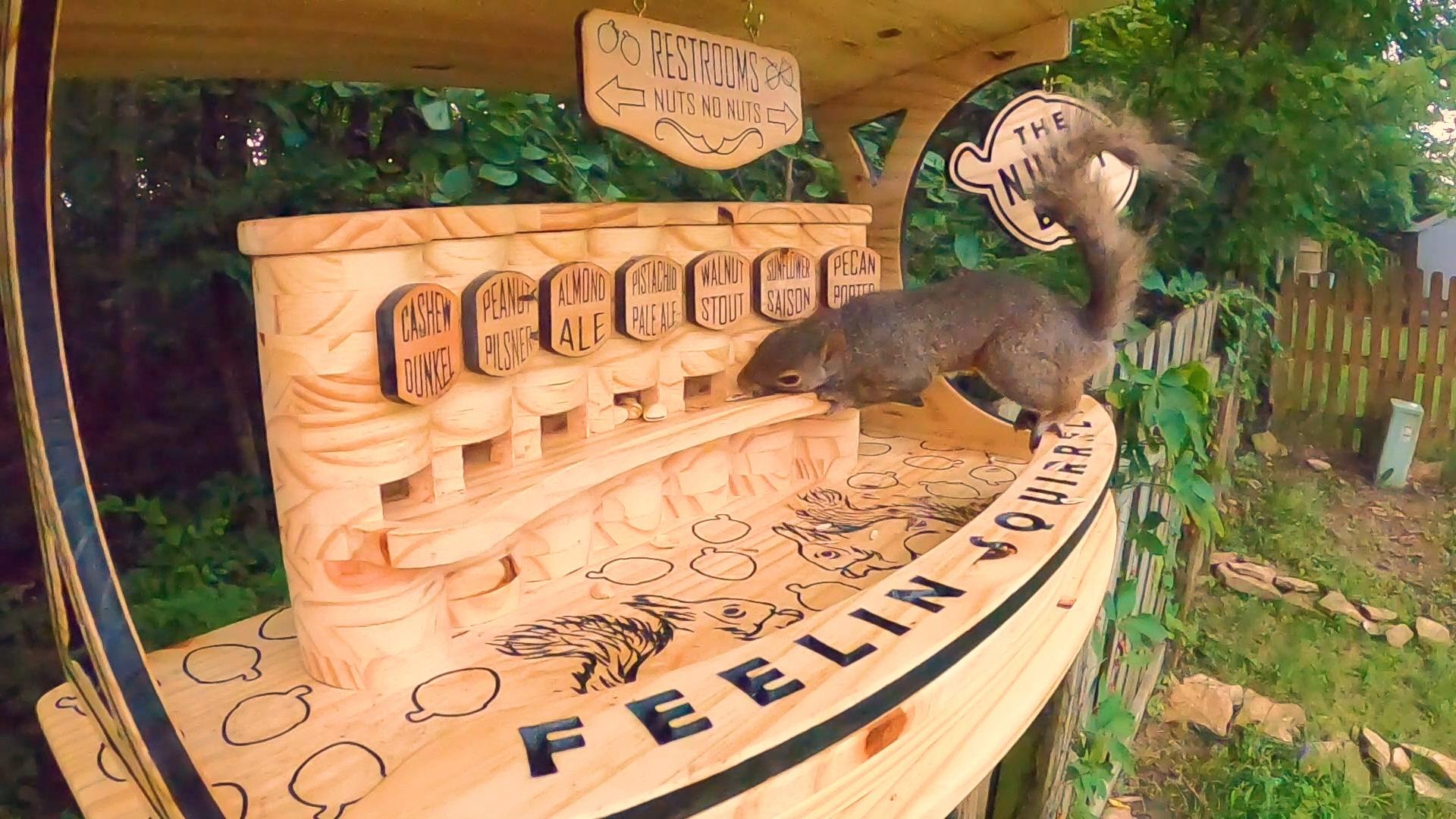 The Nutty Bar Broad and High ALL ARTS