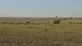 Helicopter Cowboys Wrangle Cattle in Australia: asset-mezzanine-16x9