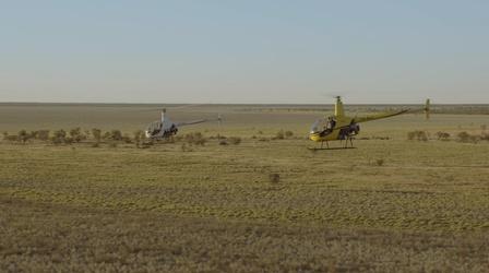 Video thumbnail: Earth's Natural Wonders Helicopter Cowboys Wrangle Cattle in Australia