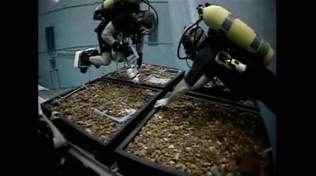 Video thumbnail: Science Trek Asteroids & Comets: On Location