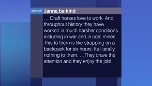 Viewer Feedback: ‘Draft Horses Love to Work’