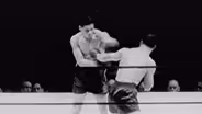 Chapter 1 | The Fight