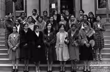 We Rise - Delta Sigma Theta Sorority