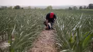 Deepening Drought Conditions Stir Fears of Wisconsin Farmers