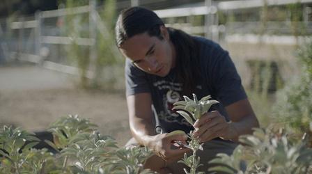 Video thumbnail: Tending The Wild Tending The Wild (Trailer)