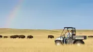 Savor Dakota Episode 203: Entrees