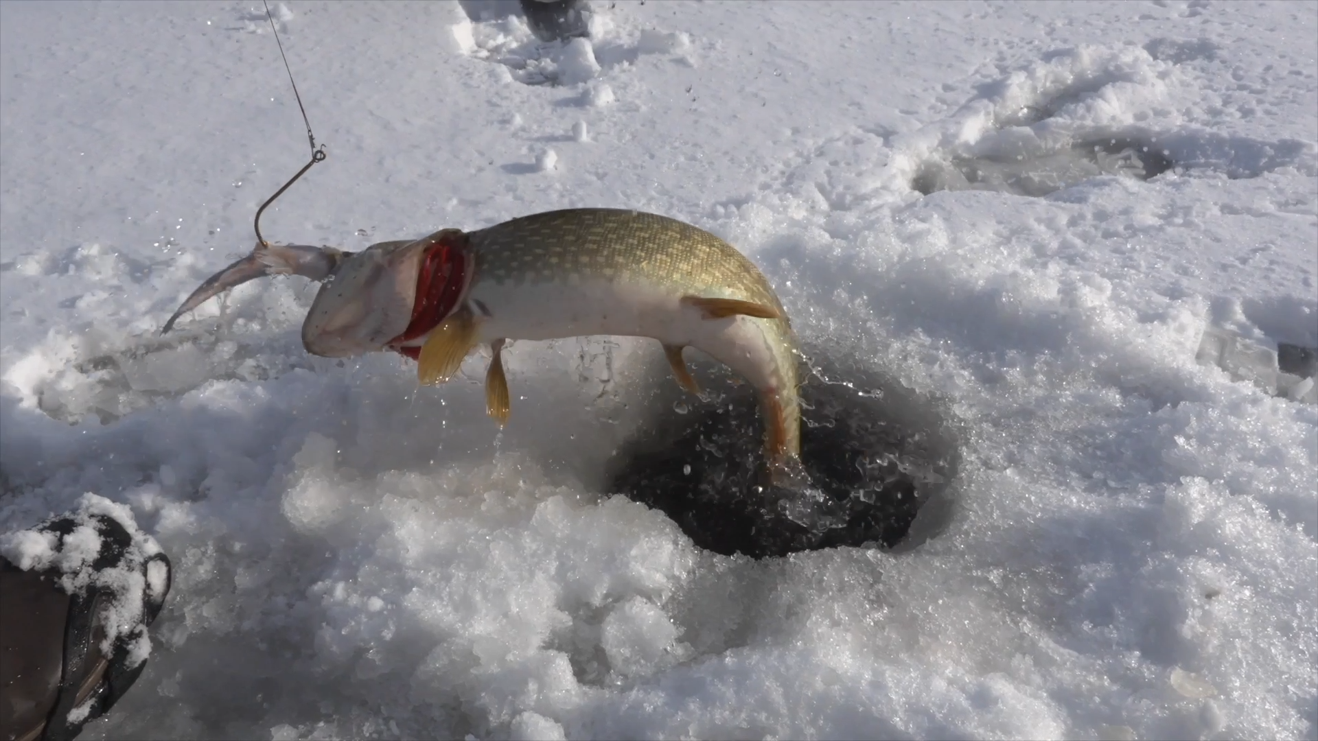 Michigan Out-of-Doors Pike Spearing, Pan Fishing, Fish Recipe