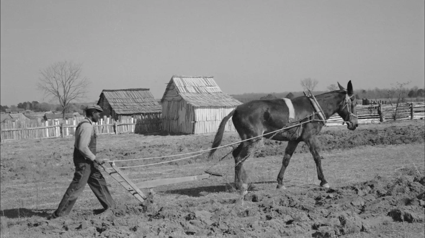 Arizona’s Dust Bowl: Lessons Lost