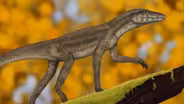 Drawing dinosaurs