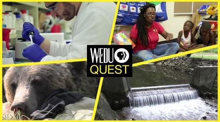 Video thumbnail: WEDU Quest Episode 310
