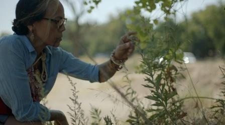 Video thumbnail: Tending The Wild Tending The Wild
