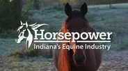 Horsepower: Indiana's Equine Industry