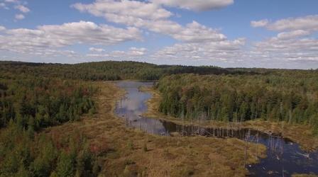 Video thumbnail: Made Here The Forest Legacy Program, For Now And Forever