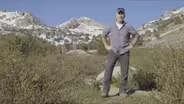 Hiking Lamoille Canyon: Aspen Forests, Streams, and Beaver Dams