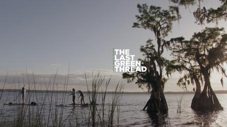 Video thumbnail: WEDU Specials The Last Green Thread