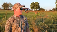 Deer Hunt; Dove Season; European Deer Mount