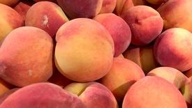Peaches and The Charleston Flower Show: asset-mezzanine-16x9