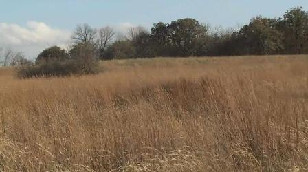 Video thumbnail: KERA Specials Roy Bedichek's Vanishing Frontier