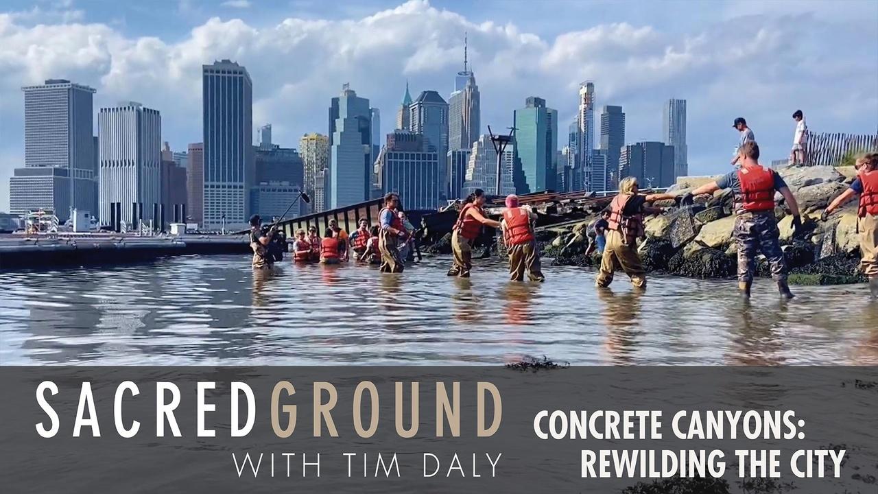 Concrete Canyons: Rewilding the City