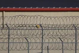 NYT finds no link between many deportees and Tren de Aragua