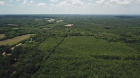 Video thumbnail: PBS NewsHour The story of American poverty, as told by one Alabama county