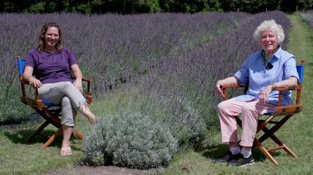 Video thumbnail: Making It Grow Lavender and Pheasants