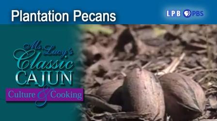 Video thumbnail: Ms. Lucy's Classic Cajun Culture and Cooking Plantation Pecans