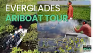 Take a Private Airboat Tour to See the Real Side of Florida