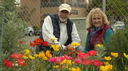 Video thumbnail: A Growing Passion The Power of Shared Gardening Spaces