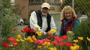 The Power of Shared Gardening Spaces