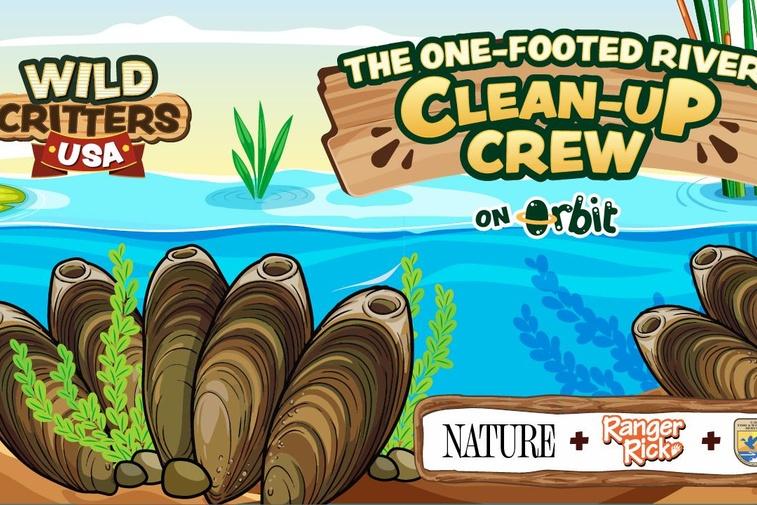 Meet Nature's Water Cleaners | Wild Critters USA Poster