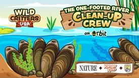 Meet Nature's Water Cleaners | Wild Critters USA: asset-mezzanine-16x9