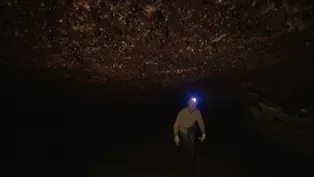 Lava Caves