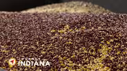 Top of the Pops: Amish Country Popcorn Helps Keep Indiana #1 Producer