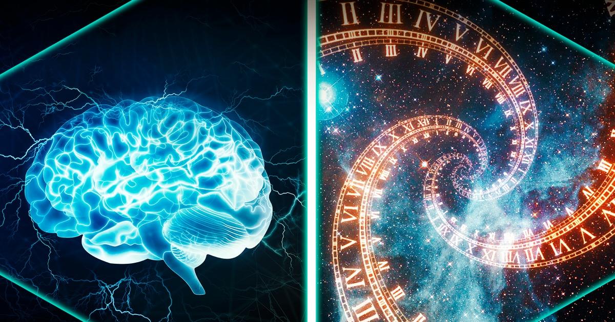 The Brain: Our Universe Within VHS
