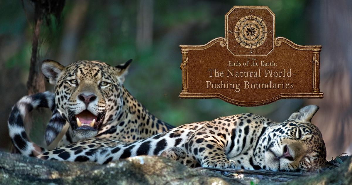To the Ends of the Earth: The Natural World - Pushing Boundaries | The Natural World - Pushing Boundaries