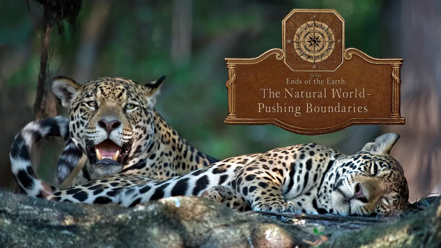 The Natural World - Pushing Boundaries