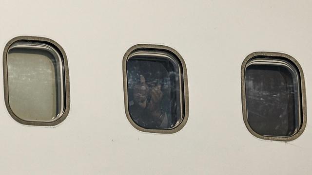 Hackers leak to press details of Trump deportation flights