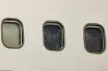 Hackers leak to press details of Trump deportation flights