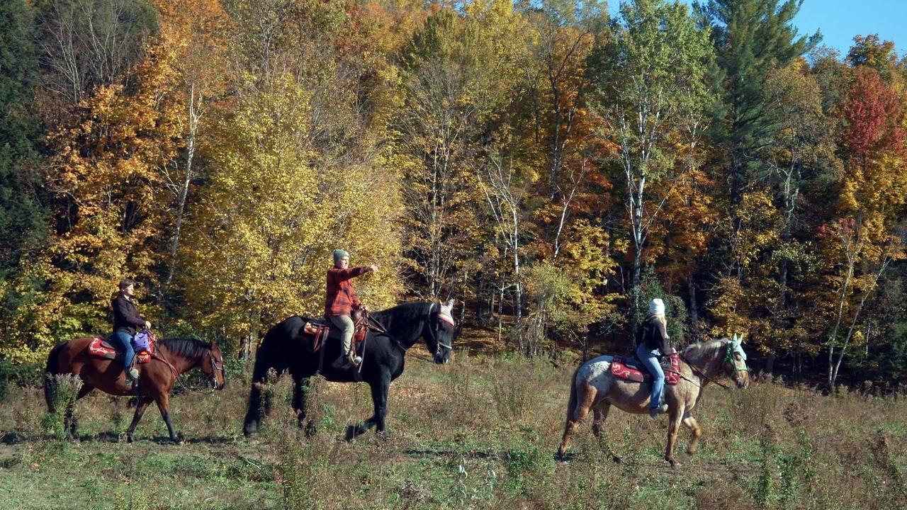 Weekends with Yankee | Exploring New England by Land & Sea