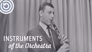 The Clarinet and its Sound