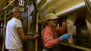 Family Dairy Farm Documented In Photos & Video