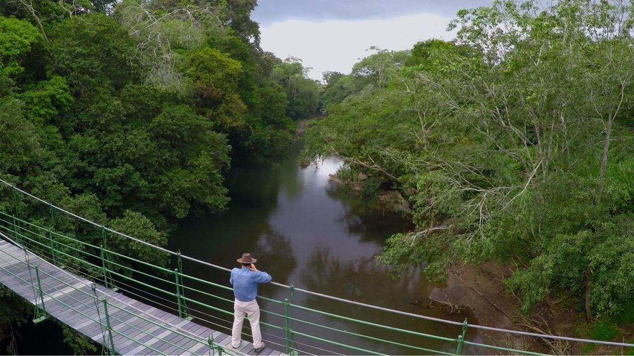 In the America's with David Yetman | Costa Rica: Laboratory of the Biosphere