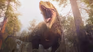 Why Is It So Hard to Tell the Sex of a Dinosaur?