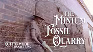 Minium Fossil Quarry