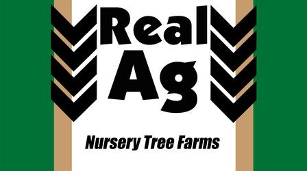 Video thumbnail: Real Ag Real Ag Nursery Tree Farms Ep705