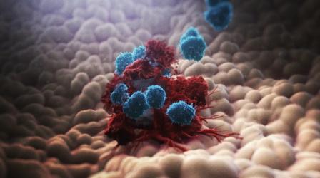 Video thumbnail: NOVA How the Immune System Fights Cancer