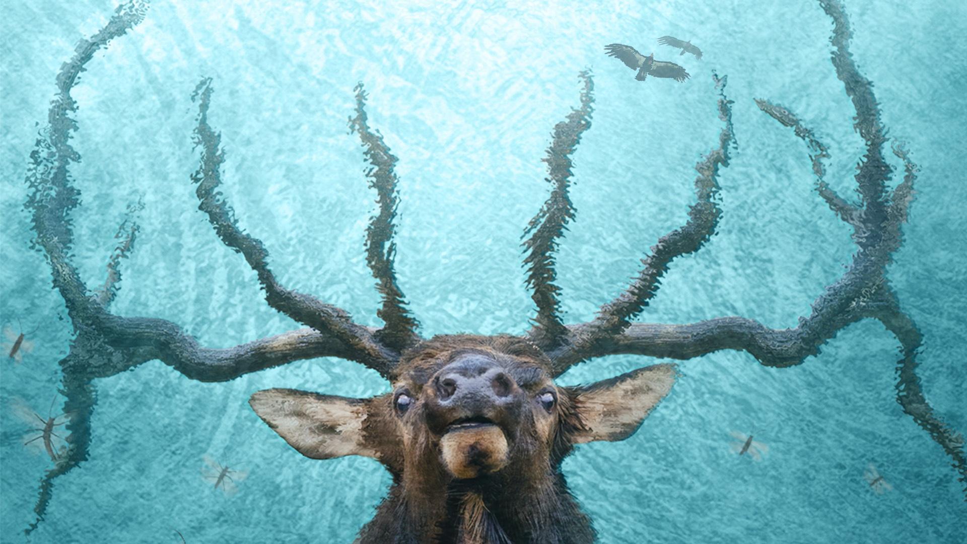An unforgettable journey of the majestic Colorado River and the urgent fight to protect its future.