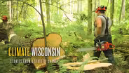 Forestry