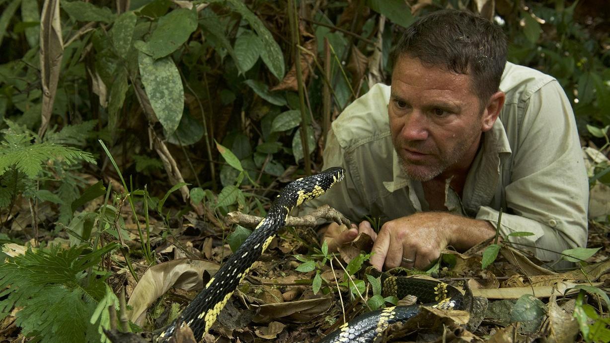 Expedition Unpacked Close Encounters Watch on PBS Wisconsin